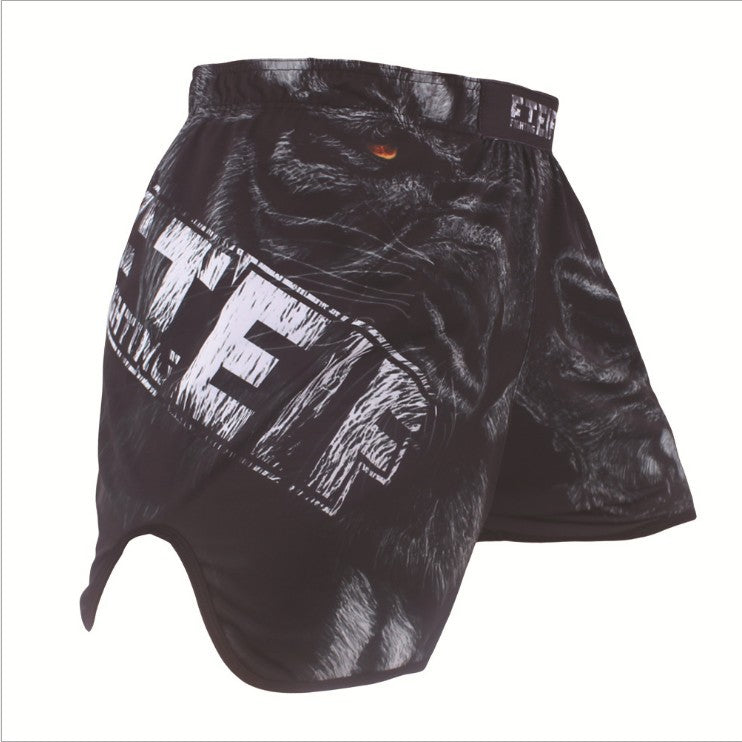 MMA Shorts Sanda Fighting